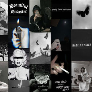 Meet your Posher, Kiley